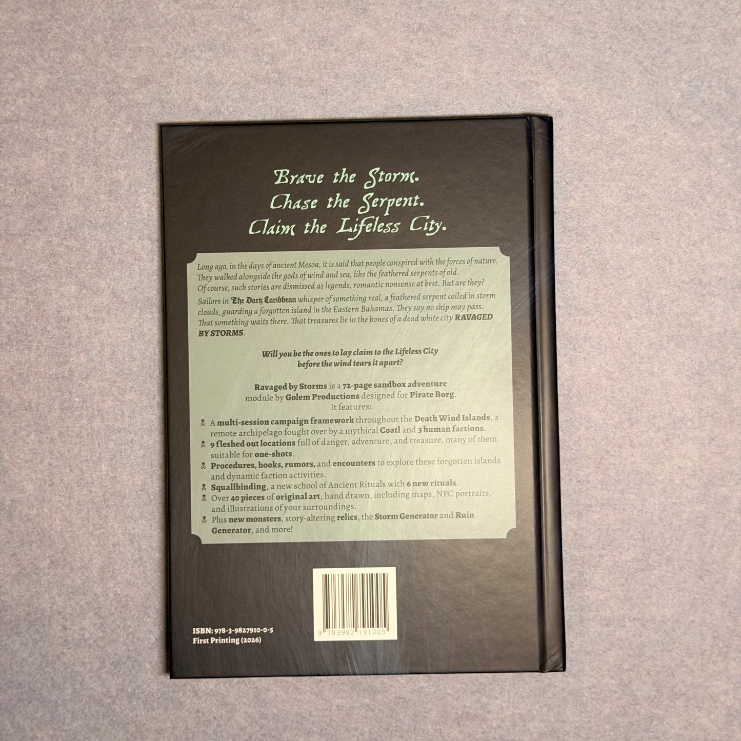 Back cover with the Brave the Storm blurb and the book's feature list